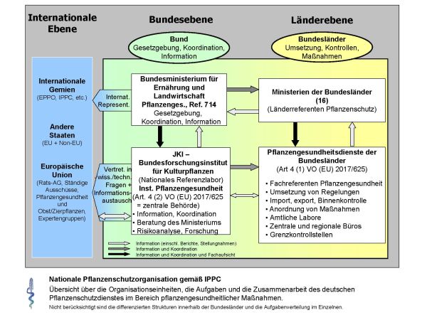Organigramm Nationale Pflanzenschutzorganisation Deutschland