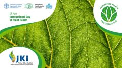 Logo Internationaler Tag der Pflanzengesundheit