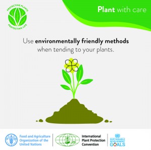 Internationaler Tag der Pflanzengesundheit  - Pflanzen